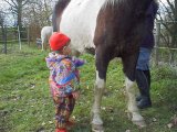 kleines Kind und großes Pferd